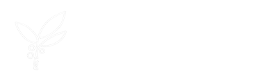 New Life Fellowship Church